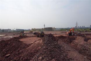 廣安市岳池新聞?lì)^條最新,聚焦岳池發(fā)展新動(dòng)態(tài)，共話鄉(xiāng)村振興新篇章