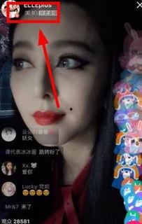 明星直播在哪看,精彩瞬間，盡在掌握——揭秘各大平臺觀看攻略