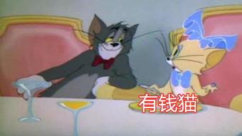 貓和老鼠s2爆料視頻,經(jīng)典角色新篇章，笑料百出引期待